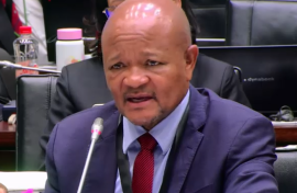 - Police Minister Senzo Mchunu has confirmed that the Political Killings Task Team (PKTT) was never part of the SAPS organogram. 