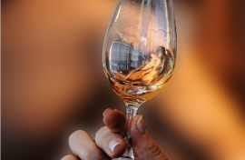 Whisky tasting