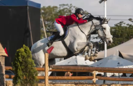 horse riding.png