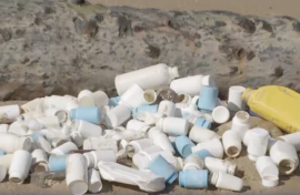 Bottles seen on the beach in East London.