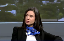 Dorine Lebreton, Cultural attachée, and Deputy Director of the French Institute of South Africa
