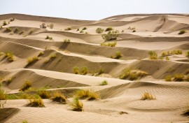 The Karakum Desert. Bjoern Holland/Connect Images via AFP