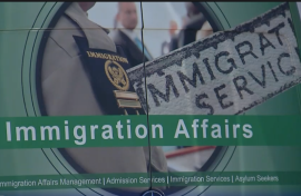 Immigration Affairs