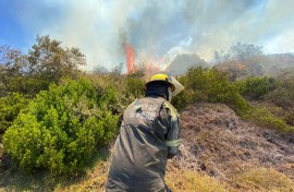 A firefighter trying to extinguish a fire in Mossel Bay. eNCA/Kevin Brandt