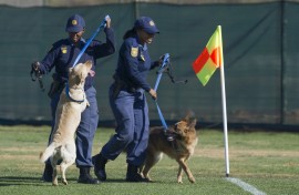 File: Police officers use trained dogs to check a field. AFP/Omar Torres
