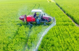 File: A farmer operating a vehicle to spray pesticides. Zhai Huiyong/Xinhua via AFP