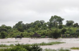 A general view floodwaters at Axivaleni Resort at the Nsami dam, in Giyani. AFP/Orlando Chauke