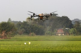 A drone sprays fertiliser over a rice field. Chaiwat Subprasom/NurPhoto via AFP