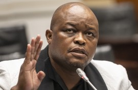 Brown Mogotsi. Brenton Geach/Gallo Images