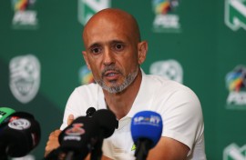 Mamelodi Sundowns head coach Miguel Cardoso. Daniel Hlongwane/Gallo Images