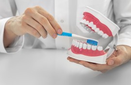 Dentist showing the correct way to brush teeth on an anatomical model. PEAKSTOCK/Science Photo Library via AFP