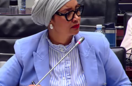 ActionSA MP Dereleen James has labelled accused controversial forensic investigator Paul O’Sullivan a lying under oath.