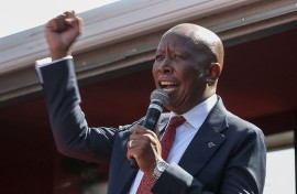 Julius Malema 