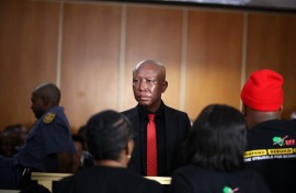 Julius Malema 