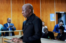 Julius Malema.  Randell Roskruge/Gallo Images