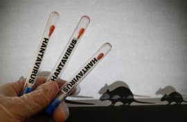 Hantavirus 3
