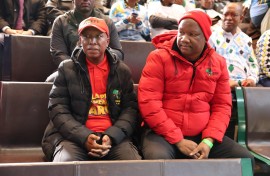 Julius Malema and Marshall Dlamini during the delivery of the judgment on Phala Phala at the Constitutional Court. Gallo Images/Luba Lesolle
