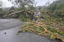 Maatskaplike werker dood Knysna