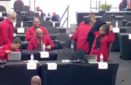 members of the uMkhonto weSizwe (MK) Party and the Economic Freedom Fighters (EFF) protesting out of the house.