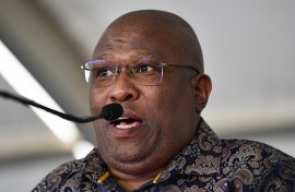 Eastern Cape Premier Oscar Mabuyakhulu. Lulama Zenzile/Gallo Images