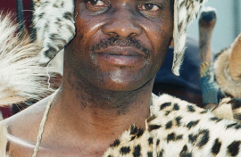 amaNdebele King Makhosonke II