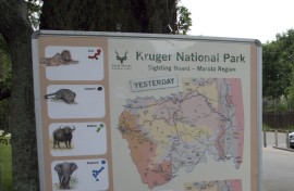 Kruger National Park. Gallo Images
