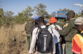 Border Management Authority (BMA)