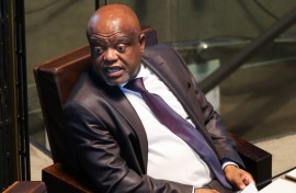 Dada Morero, Executive Mayor of Johannesburg. Gallo Images/Lubabalo Lesolle