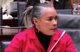 The EFF denies it was the reason Feroz Khan did not appear before Parliament's SAPS ad hoc committee.