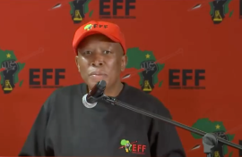 Julius Malema.