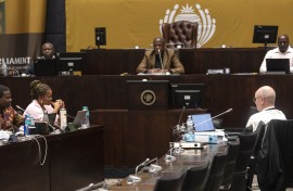 MPs seen at the SAPS Parliamentary Ad Hoc Committee inquiry. Gallo Images/Brenton Geach