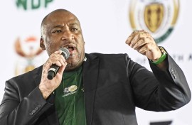 Sport Minister Gayton McKenzie.  Mlungisi Louw/Gallo Images