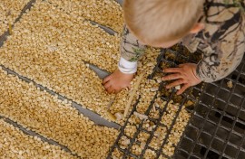 boy playing in grain