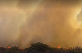 Table Mountain fire