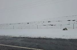 The heavy snow has also sparked a major tourism boom by drawing crowds eager to witness the rare winter landscape.