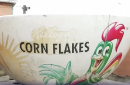 Kellogs cereal bowl