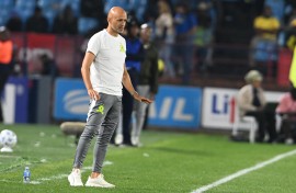Mamelodi Sundowns coach Miguel Cardoso. Lefty Shivambu/Gallo Images