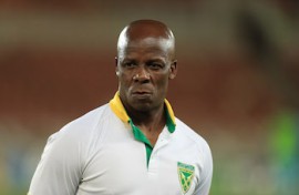 Mandla Ncikazi