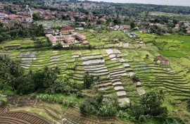 In Cigugur village, around 200 kilometres from Jakarta, Sunda Wiwitan followers observe a harvest festival that was outlawed until 1998