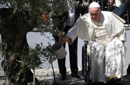 Before leaving the pope watered an olive tree, the symbol of peace, in the patio of the foundation