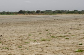 Scientists blame the lagoon's disappearance on a prolonged drought combined with the overexploitation of aquifers for farming and tourism