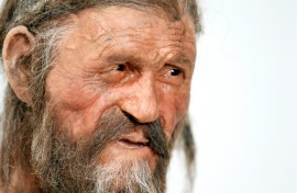 Scientists had previously thought the iceman's skin had darkened in the ice