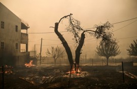 Extreme heat has dominated the headlines in recent weeks 