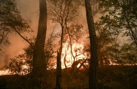 Devastating fires have ripped through parts of Europe over a long, hot summer