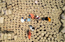 Labourers seal gunny sacks of millet, the gluten-free grain which India has been championing and served at a G20 dinner, on the outskirts of Bengaluru earlier this year