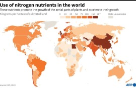 Use of nitrogen nutrients in the world