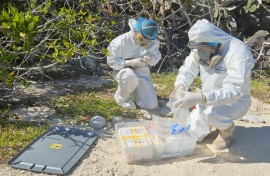 The Galapagos National Park said in a statement that it had picked up three positives for the H5N1 virus, after reports of visibly sick birds on the islands
