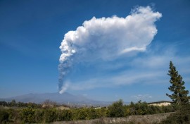 The fertile soil around Etna, the hot and humid microclimate and the limited variations in temperature between day and night have turned out to be ideal conditions for exotic fruits
