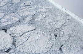 At its largest point this winter, the Antarctic sea ice was 1.03 million square kilometers smaller than the previous record-low maximum, roughly the size of Texas and California combined