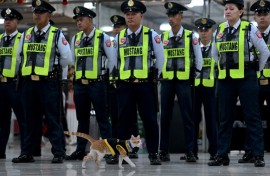 Conan, a six-month-old stray, joined the security team of the Worldwide Corporate Center in the capital Manila several months ago
